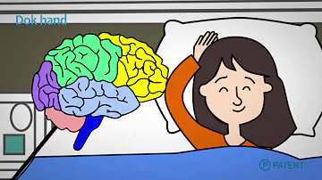 ¿Cómo dormir ayuda al cerebro?