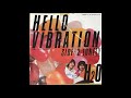 H2O - Hello Vibration (1982 Version)