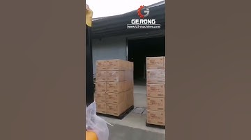 Mask carton full container laoding video for bulk order of mask in stock