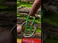 Ring-on-rope technique #RopeTrick #KnotHack #PracticalSkills