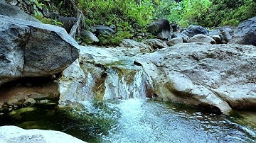 Sounds of Mountain Rivers and Forest Birds Singing. 12 Hours Of Deep Sleep