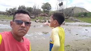 Charada, Oque É Verde Corre Mais Não Anda