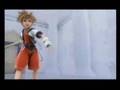 Kingdom Hearts Kotoko re-submility