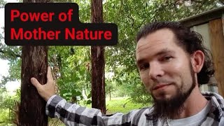 The Power of Mother Nature