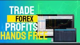 MANIFEST-FX OFFICIAL OVERVIEW - 100% of Trading Profits is yours to keep. screenshot 1
