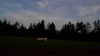 Eflite_Extra260.AVI