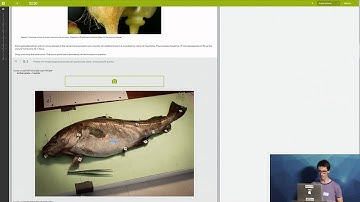 Jonas Helfer: How 240 students took an exam with Meteor -- Devshop SF August 2015