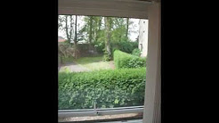 Gumtree Rental - Foggyley