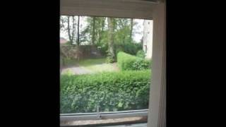 Gumtree Rental - Foggyley