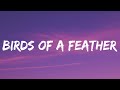 Billie Eilish BIRDS OF A FEATHER Lyrics mp3