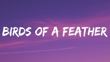 Thumbnail of Billie Eilish - BIRDS OF A FEATHER (Lyrics)