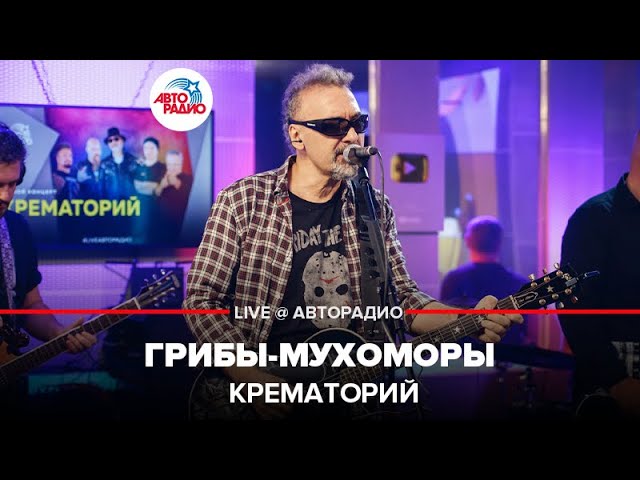 Крематорий грибы. Грибы мухоморы крематорий.