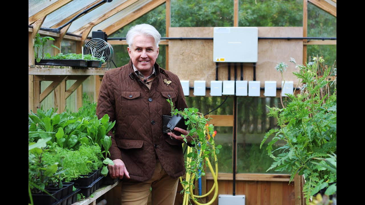 Get Gardening: Snug as a Bug (in a Greenhouse)