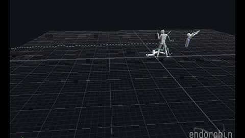 Tutorial 9 - endorphin