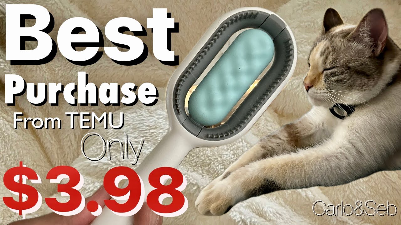 Unbelievable! My Best Purchase: TEMU Pet Grooming Comb $3.98! - YouTube