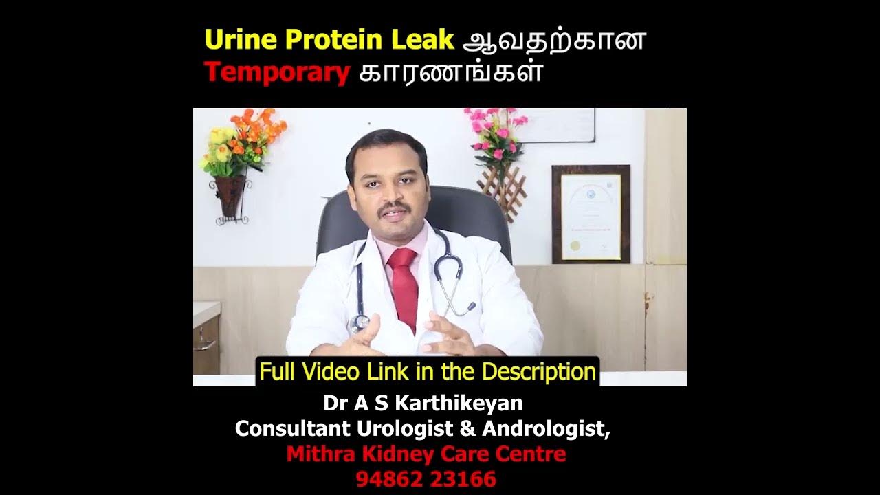 urine-protein-leak-temporary-protein-in-urine