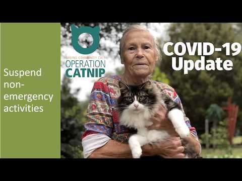 Spay/Neuter in the COVID Era - webcast Spay/Neuter in the COVID Era - webcast