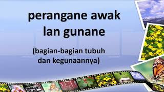 BAHASA DAERAH KELAS 1 SD : GUNANE PERANGANE AWAK