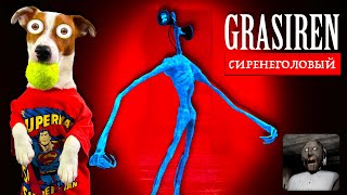 Гренни, но Сиренеголовый  📢 Gransiren 📢 Побег через дверь