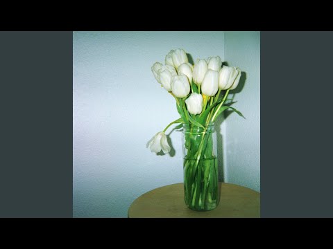 Claire Rousay — swipe