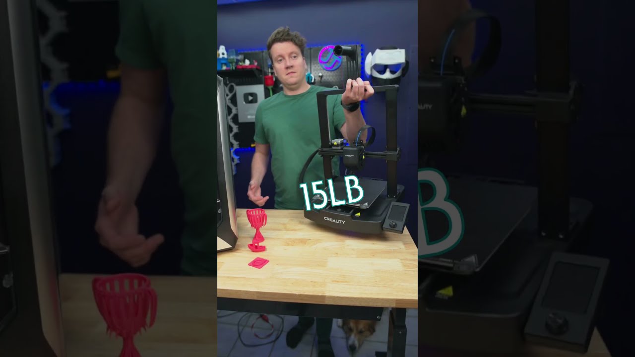 Expensive Vs Cheap 3D Printer 