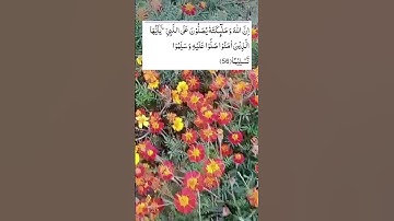 سورة ألاحزاب|सूरह अल-अहज़ाब |Surah Al-Ahzab