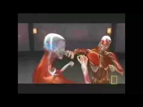 Inside View Of Devastation