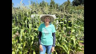 Succession Planting: Harvest More Veggies! (2026) #31