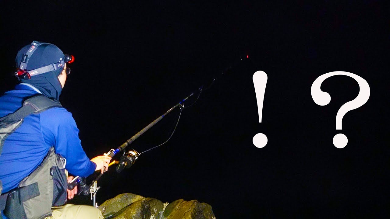 ここはフエダイの巣...？針を小さくし数釣りを楽しんでいたら突如ドラグ音が鳴り響く