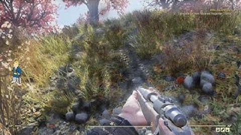 Fallout 76 - Invisible enemies