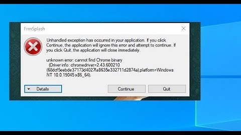 whatsapp bulk sender unknown error cannot find chrome binary error fix in hindi