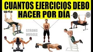 Cuantos Ejercicios debo hacer por Día para Ganar Masa Muscular