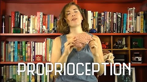 Brain Awareness Video Contest: Your Sixth Sense