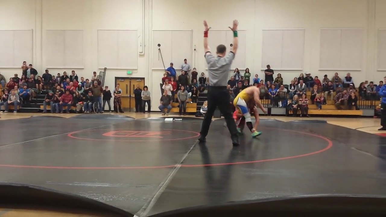 Wrestling with the big cats