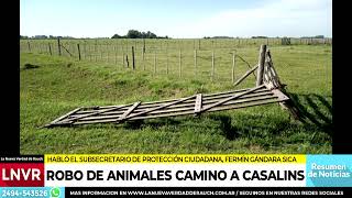 Robo de animales en campo camino a Casalins