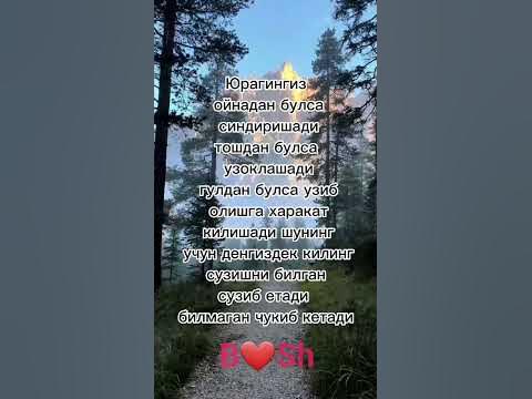 КУНГИЛ - YouTube