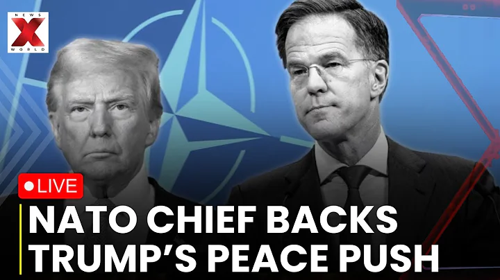 NATO Chief Praised Trump LIVE: NATO Chief Rutte Applauds Trump’s Push For Ukraine Peace |NewsX World