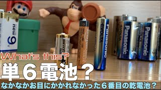 【バッテリー】単６電池？みんな使っている？ 第6の乾電池（角形除く）