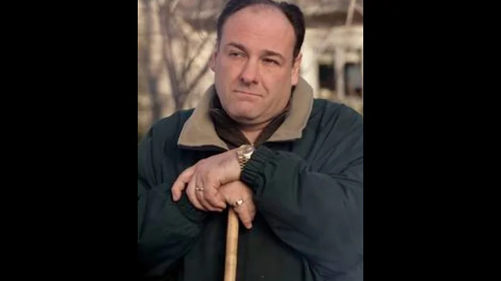 Things You Didn't Know About The Sopranos!