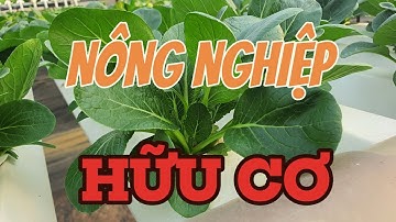 Nông Nghiệp Hữu Cơ: Giải Pháp Phát Triển Bền Vững || Miền Đất Nông Nghiệp.