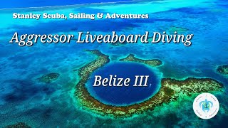 Aggressor Liveaboard Diving Belize III