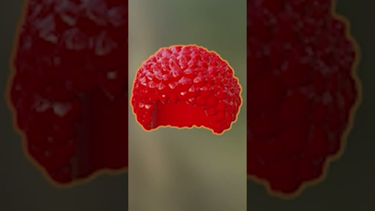 Альбом "Million Dollar: Happiness" в стиле ЛЕГО