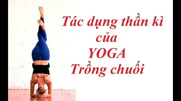 YOGA TRỒNG CHUỐI - TRỊ LIỆU BÁCH BỆNH - YOGA MANG LẠI TÁC DỤNG GÌ?