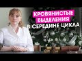 Кровянистые выделения в середине цикла. Кровь, но не месячные. Что с этим делать?