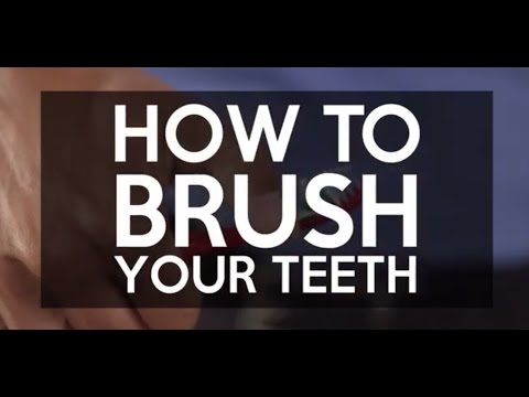 How to Brush Your Teeth