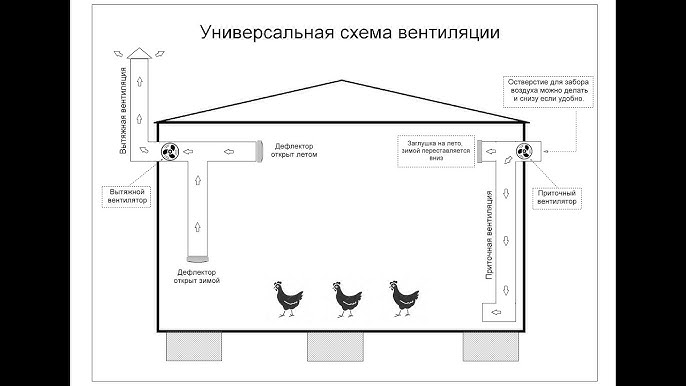 Политическая информация