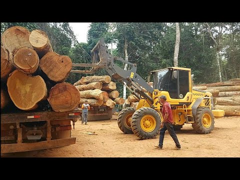 Vídeo: Quantos cordões de madeira em uma semi carga?