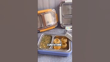 Stainless Steel 3 Compartment Lunch Box #leakproof #tiffin #lunchbox #insulated #shorts
