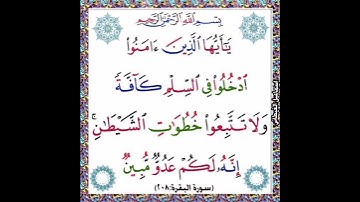 سورة البقرة الآية ( 208 )