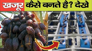 How Dates are made | Khajoor kaise banta hai | खजूर कैसे बनता है लाइव देखे